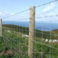 Feuerverzinktes Scharnier Joint Cattle Fence